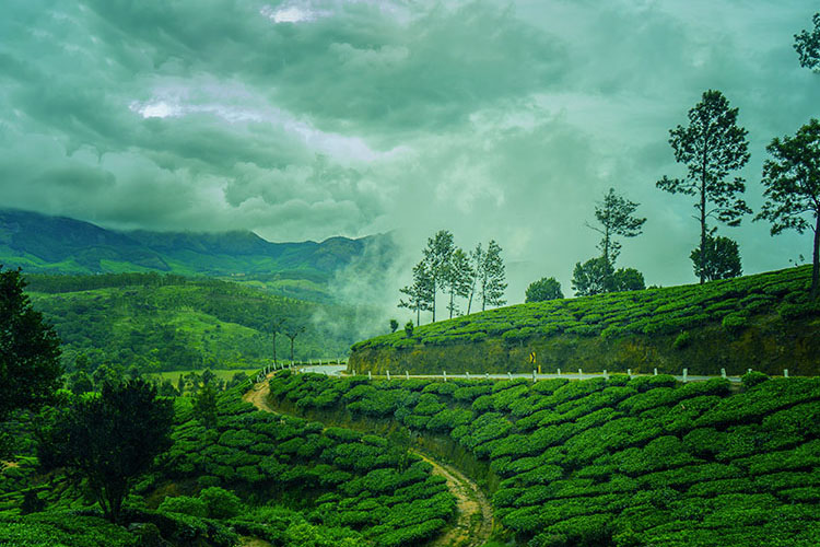 Munnar